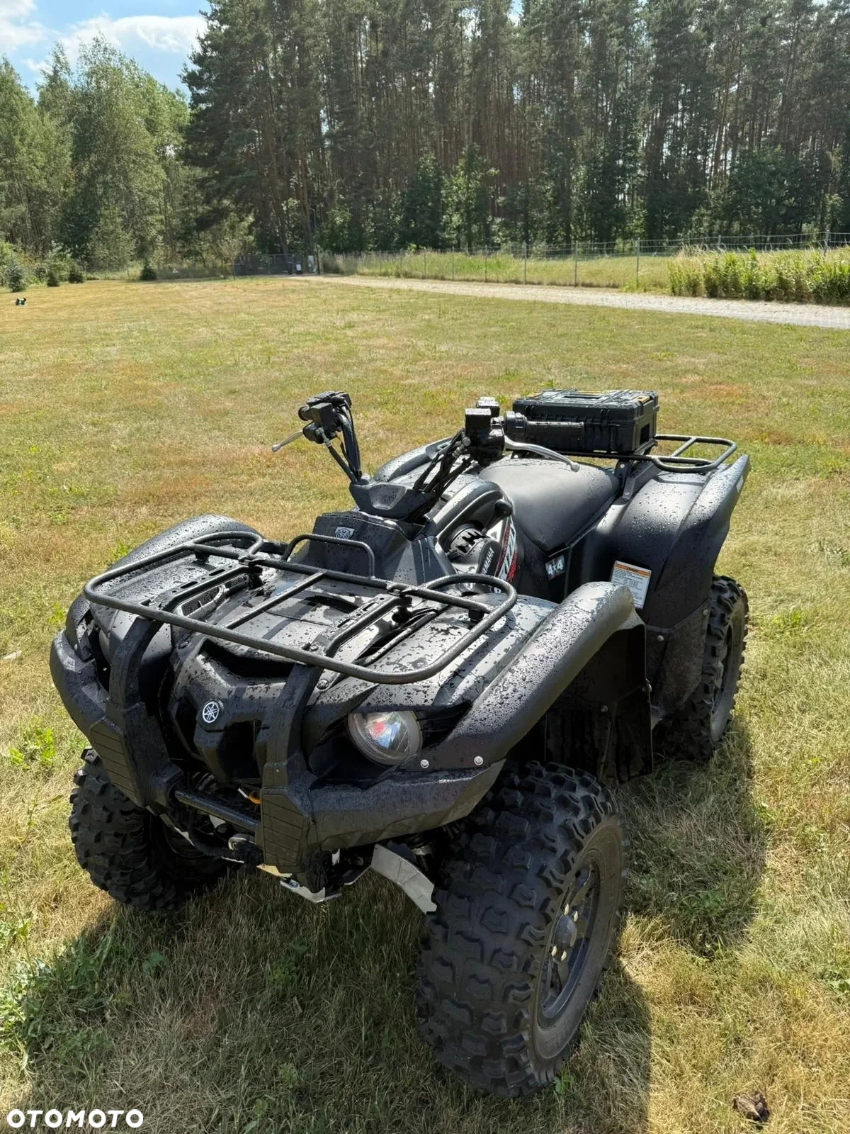 Yamaha Grizzly