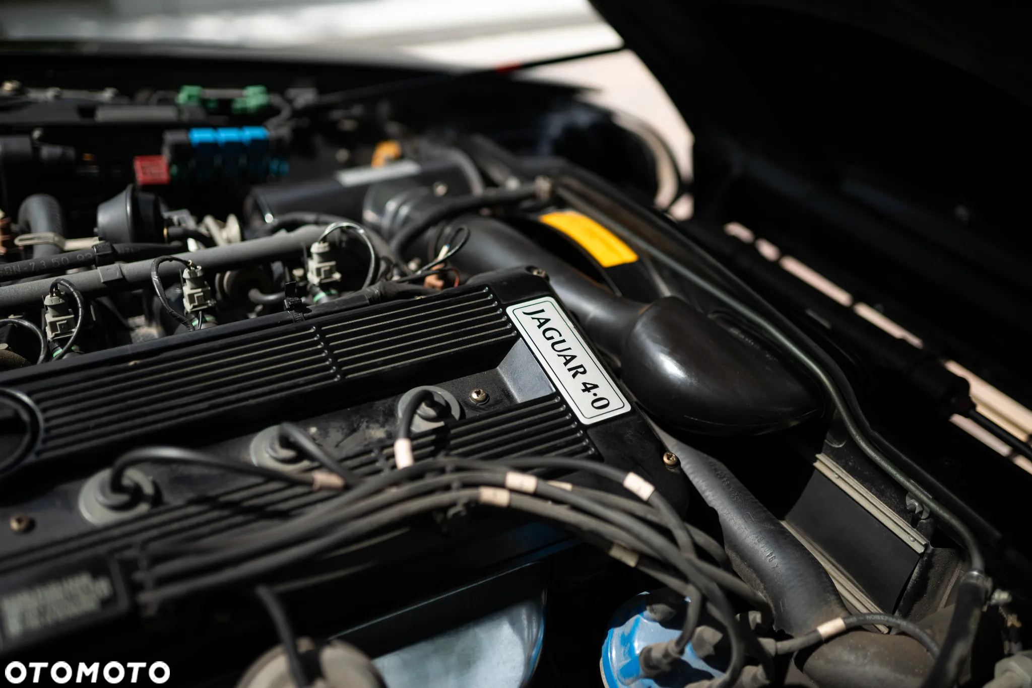Jaguar XJS 4.0 - 16