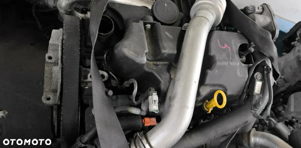 Silnik RENAULT 1,5 DCI CLIO II III MEGANE II MODUS Scenic II Kangoo - 5