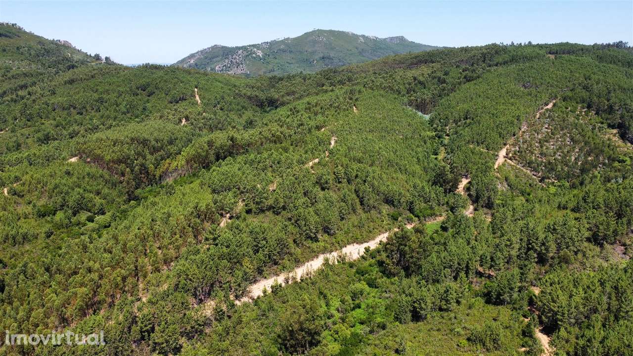 Terreno Rústico  Venda em Sarnadas de São Simão,Oleiros - Grande imagem: 5/11