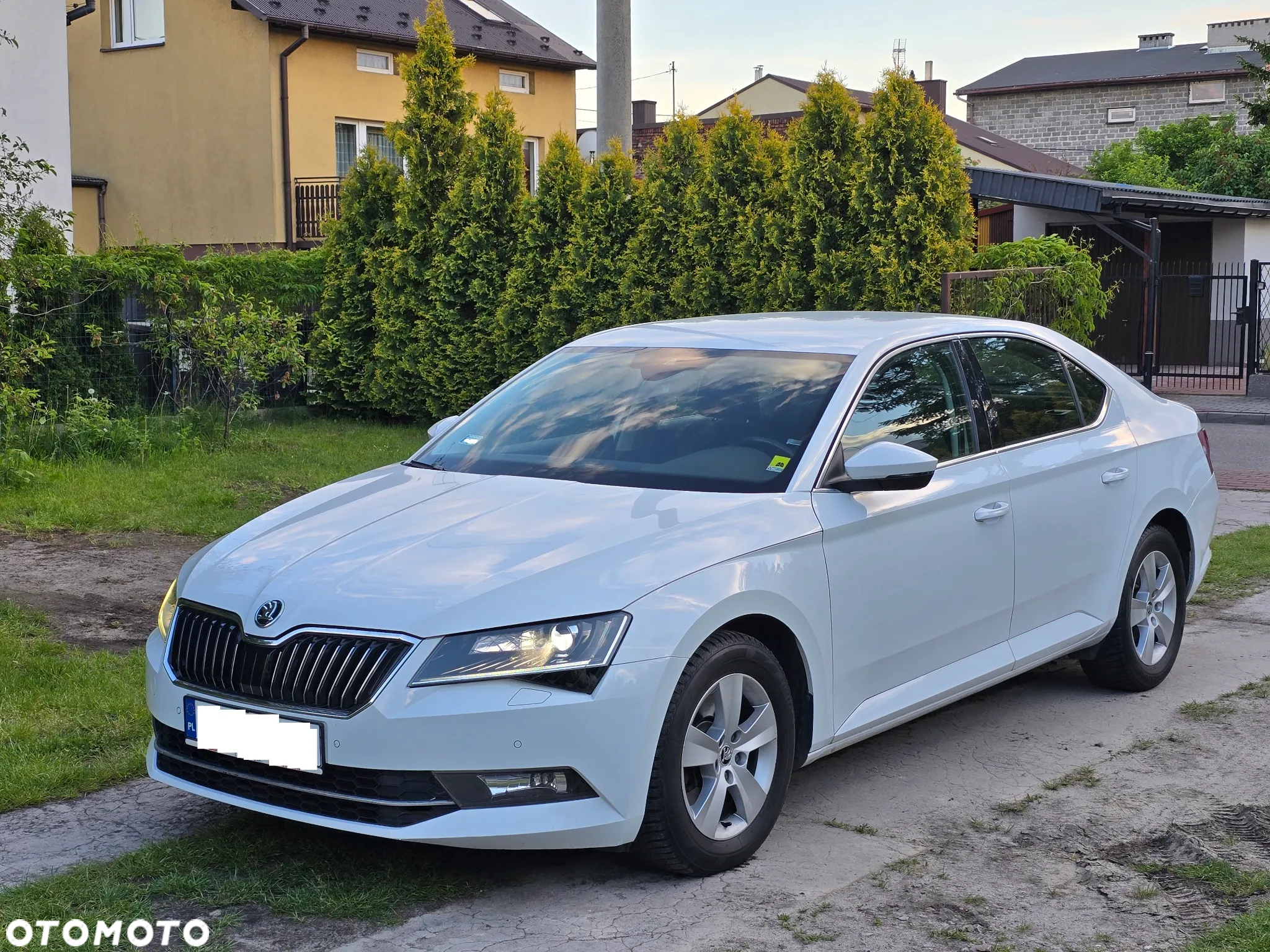 Skoda Superb 2.0 TDI Sportline DSG - 31