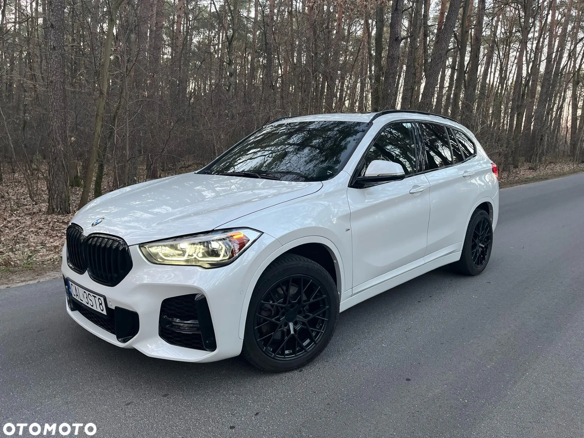 BMW X1 xDrive25i M Sport - 10