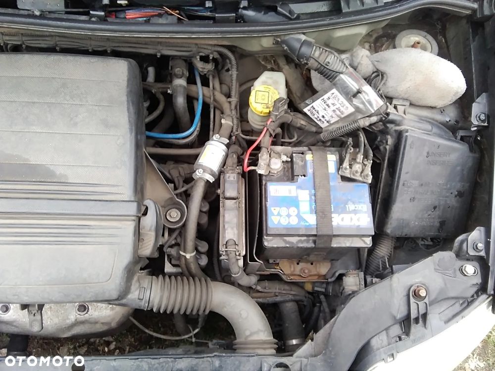 Fiat Panda 1.2 Dynamic Eco - 25