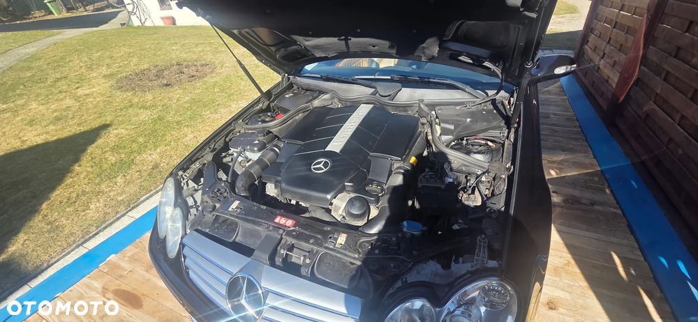 Mercedes-Benz CLK 500 7G-TRONIC Elegance - 6