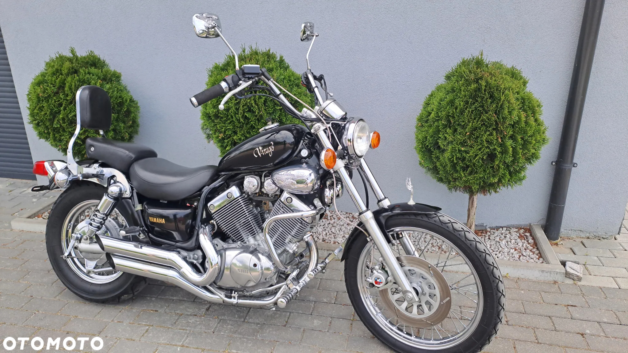 Yamaha Virago - 3