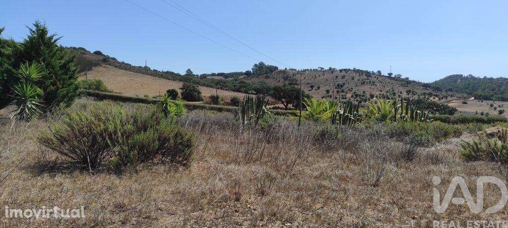 Quinta T3 em São Luís de 323,00 m2 - Grande imagem: 3/27