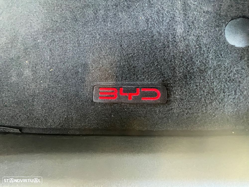 BYD Dolphin Surf Comfort - 16