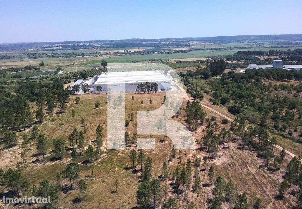 Terreno Zona Industrial de Montalvo, Santarém - Grande imagem: 2/15