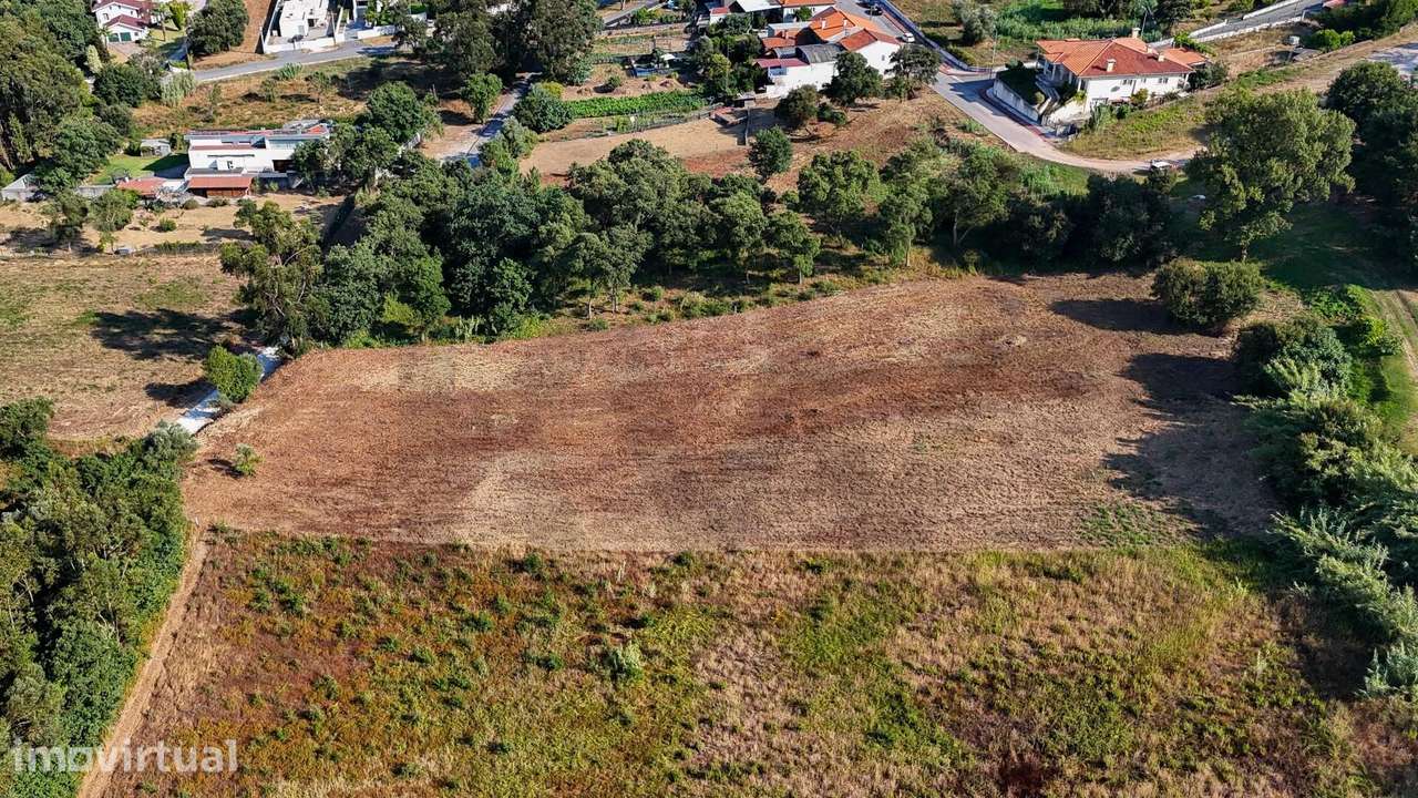 Terreno para Promoção Imobiliária no Coração de Oliveira do Bairro - Grande imagem: 2/10