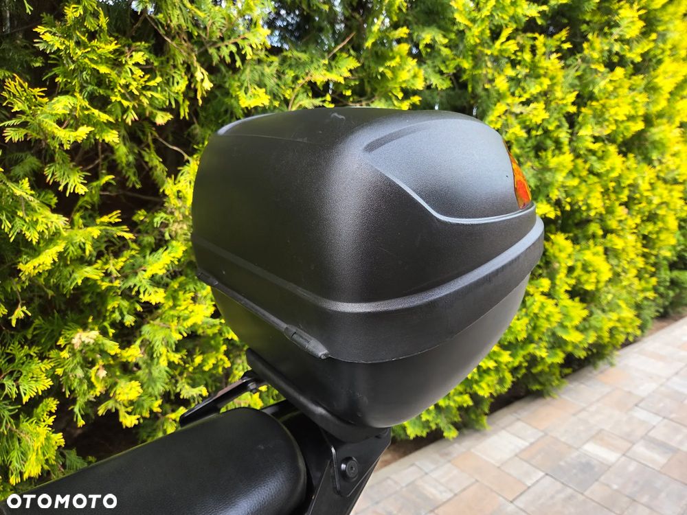 Honda CBF - 19