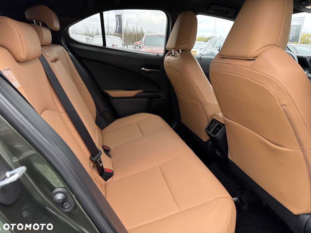 Lexus UX 250h GPF F Sport Design 2WD - 10