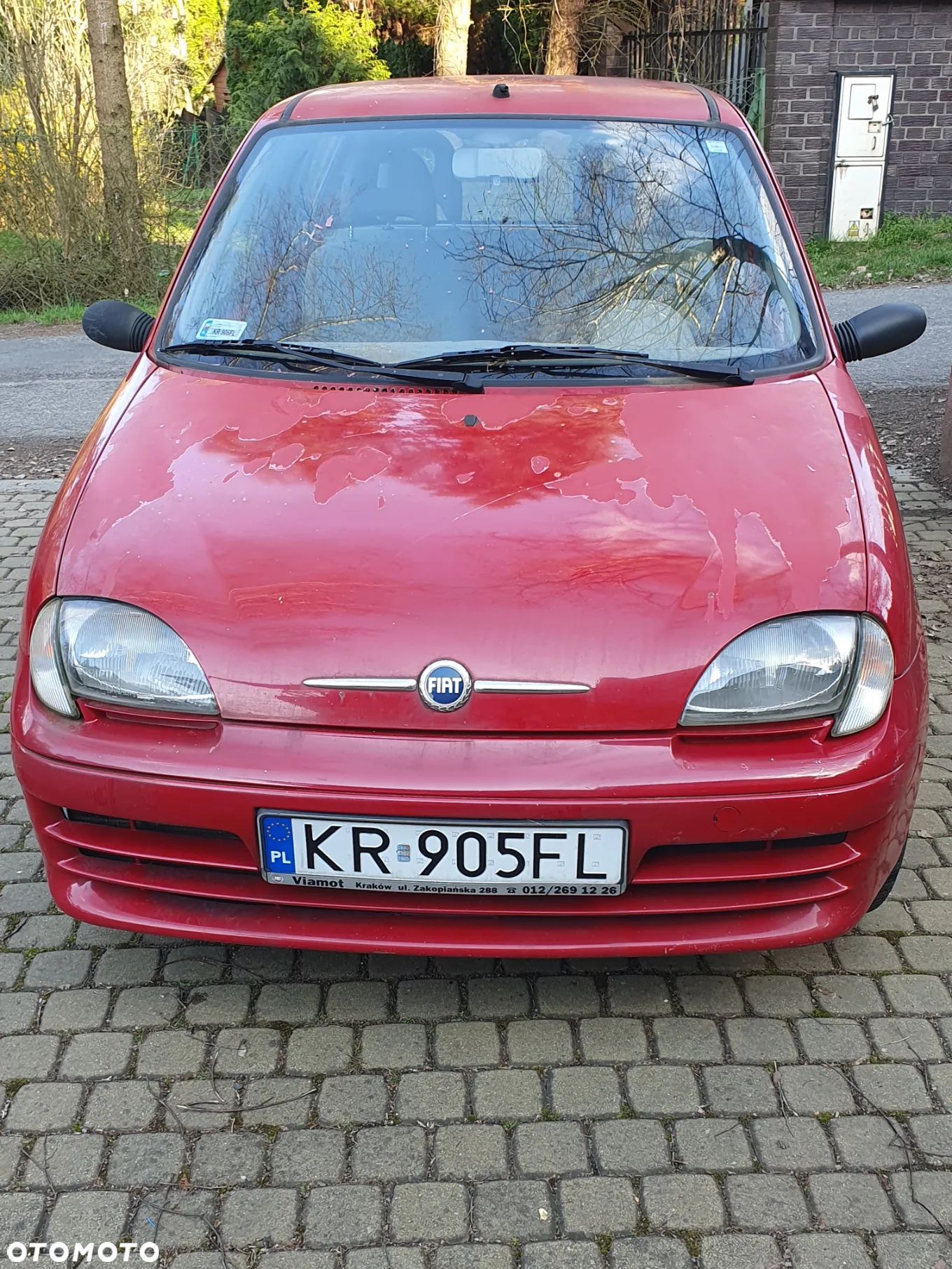 Fiat Seicento - 1