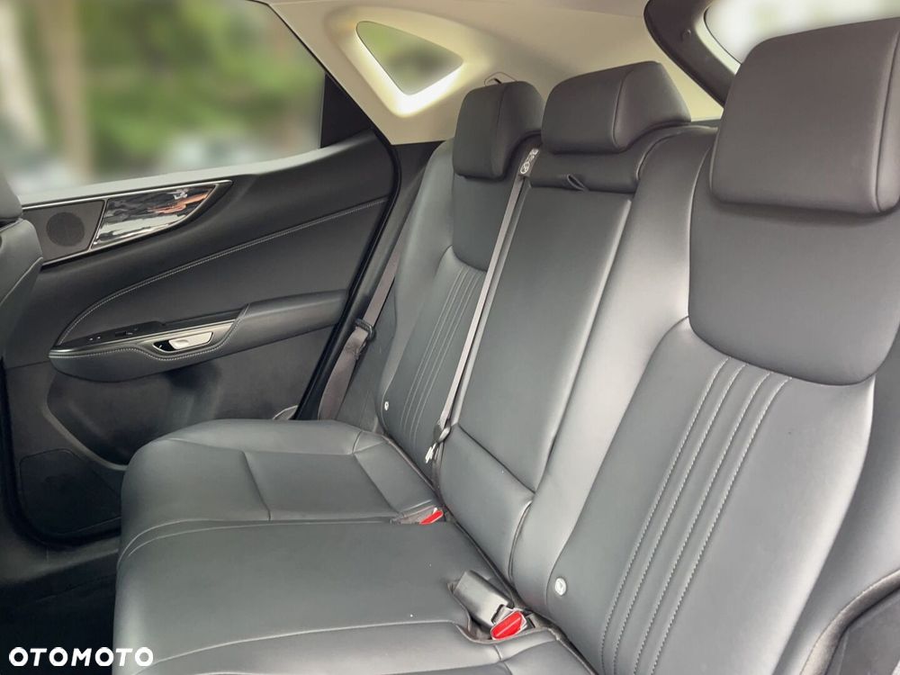 Lexus NX - 6