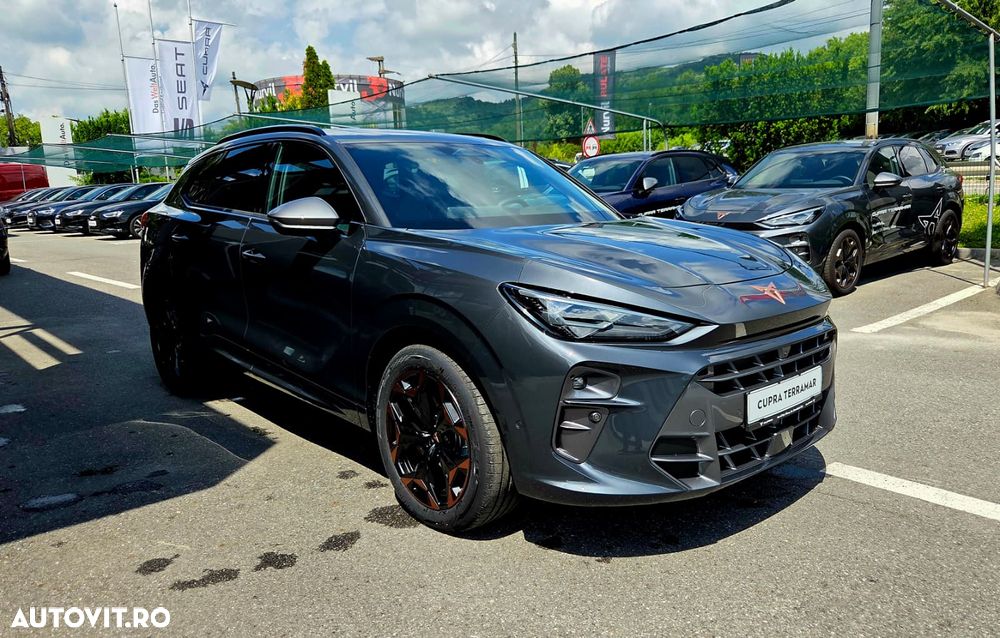 Cupra Terramar - 6