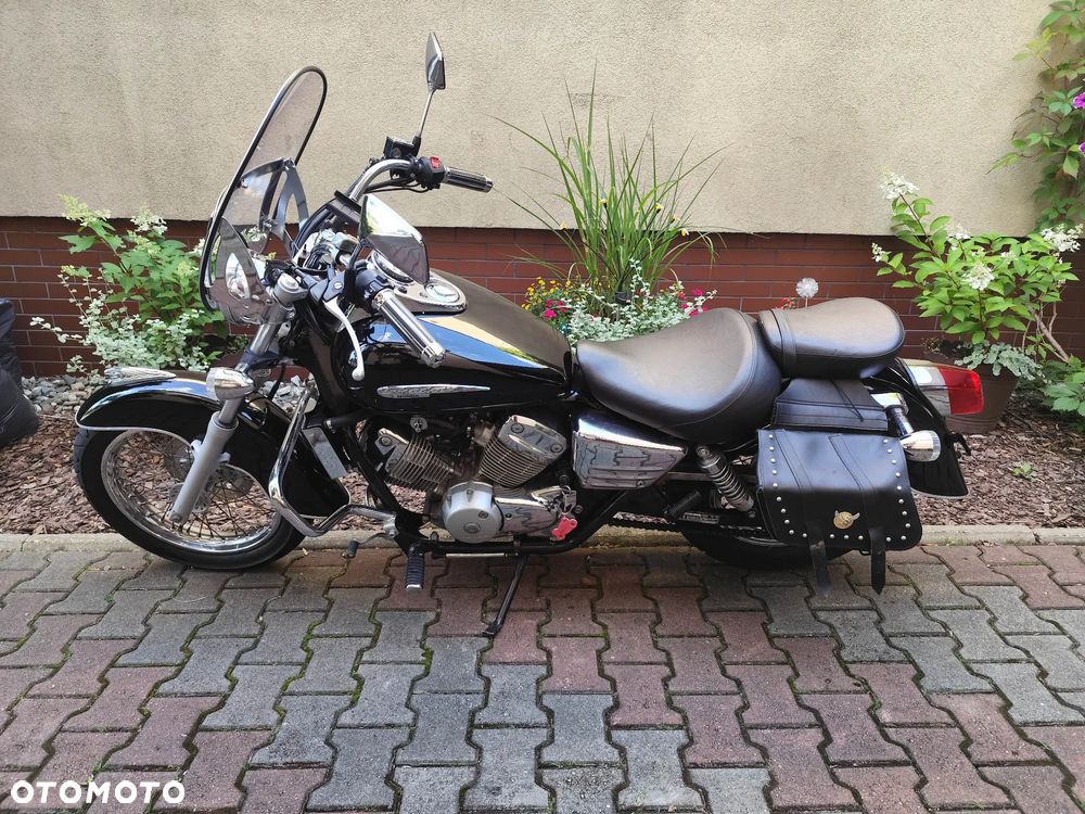 Honda Shadow - 7
