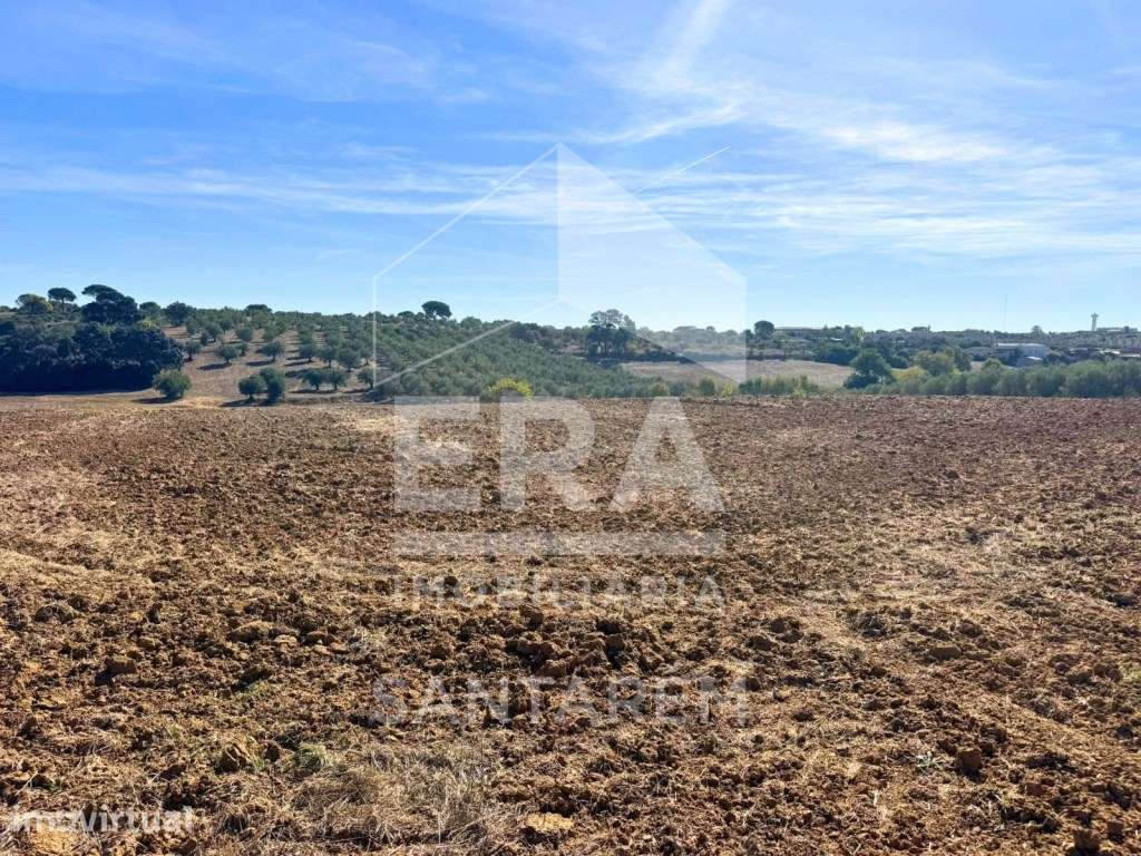 Terreno Rústico com 19.840 m² e 2 Poços - Grande imagem: 5/14