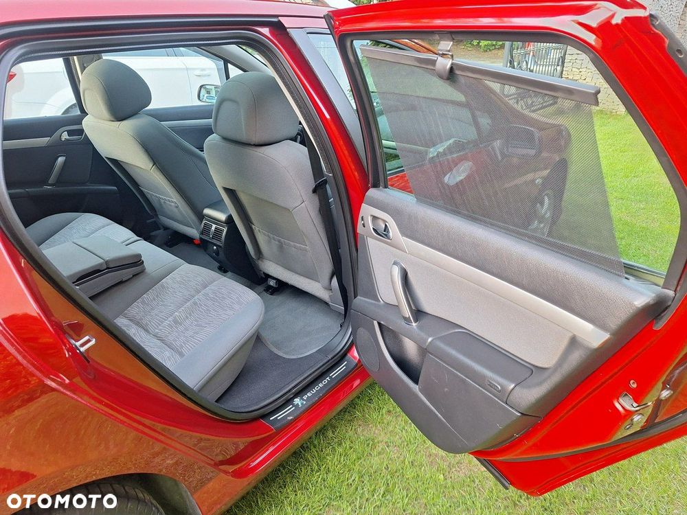 Peugeot 407 - 18