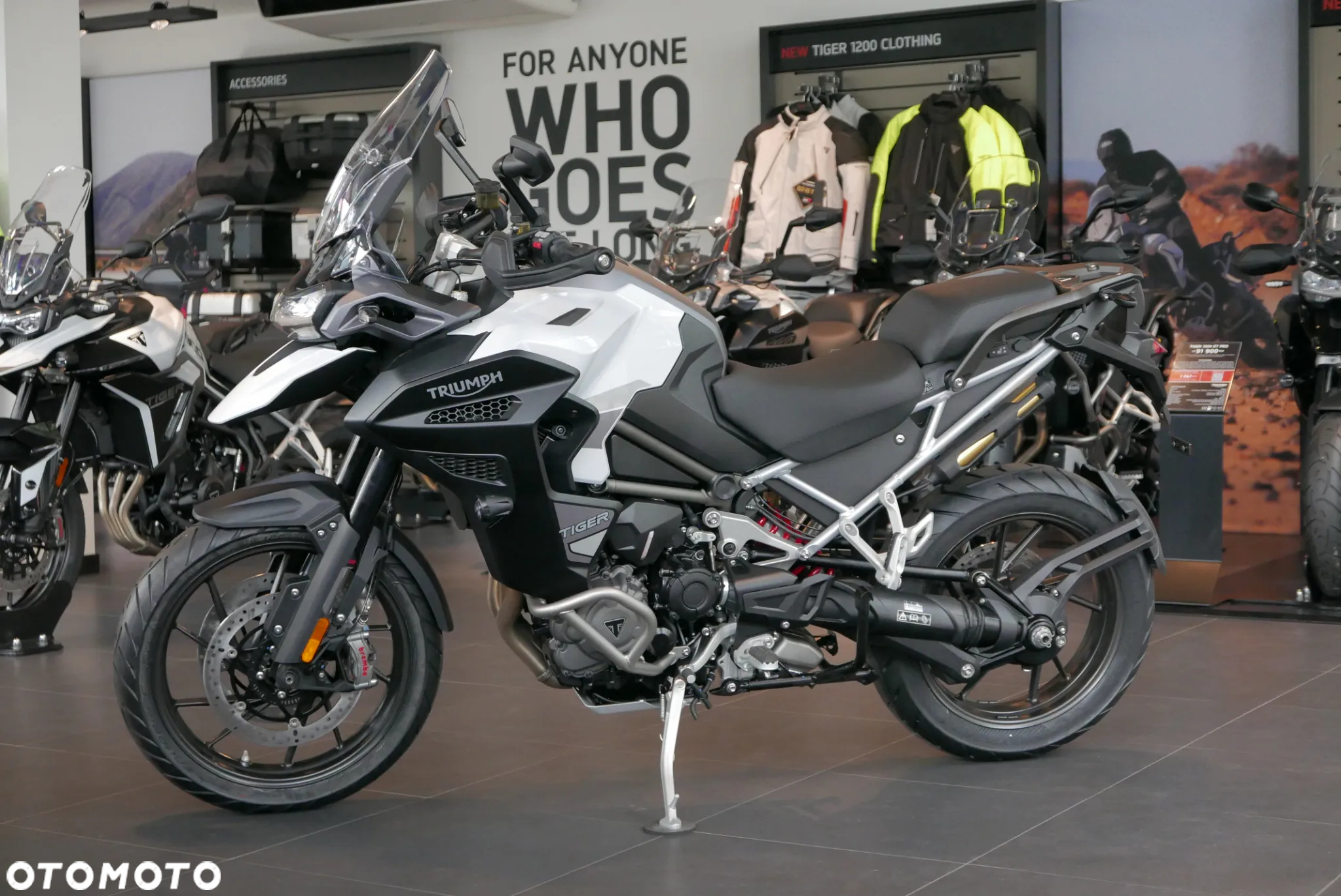 Triumph Tiger - 15