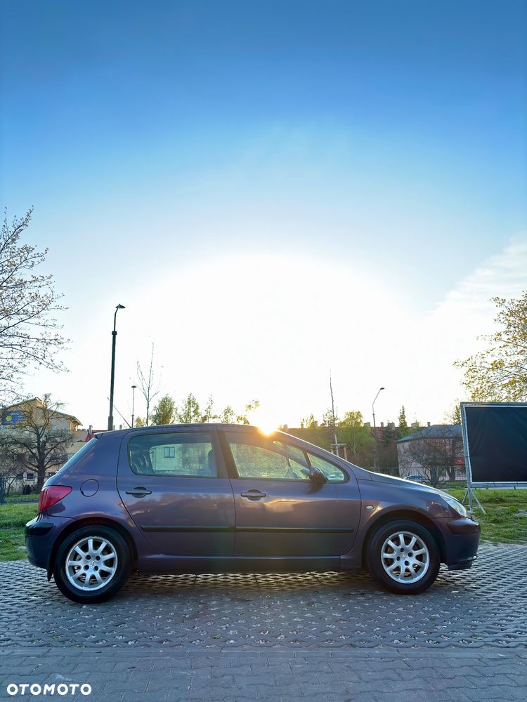 Peugeot 307 1.4 XS - 7