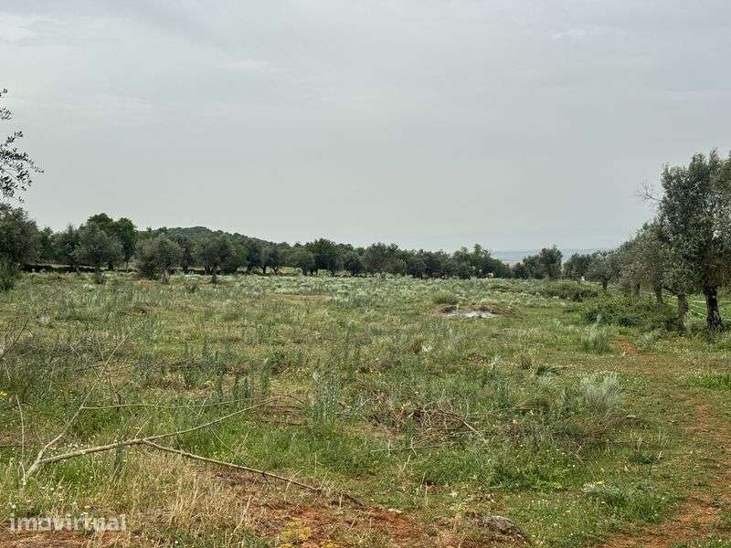 Terreno 36.750m2 Elvas - Grande imagem: 4/7
