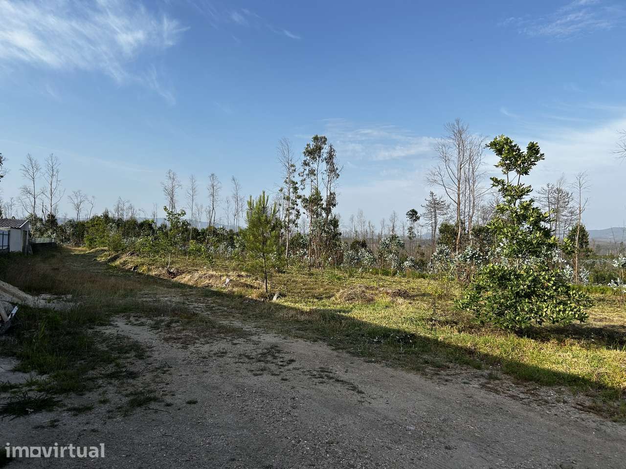 Terreno com potencial de construção - Macinhata do Vouga | Águeda - Grande imagem: 3/5