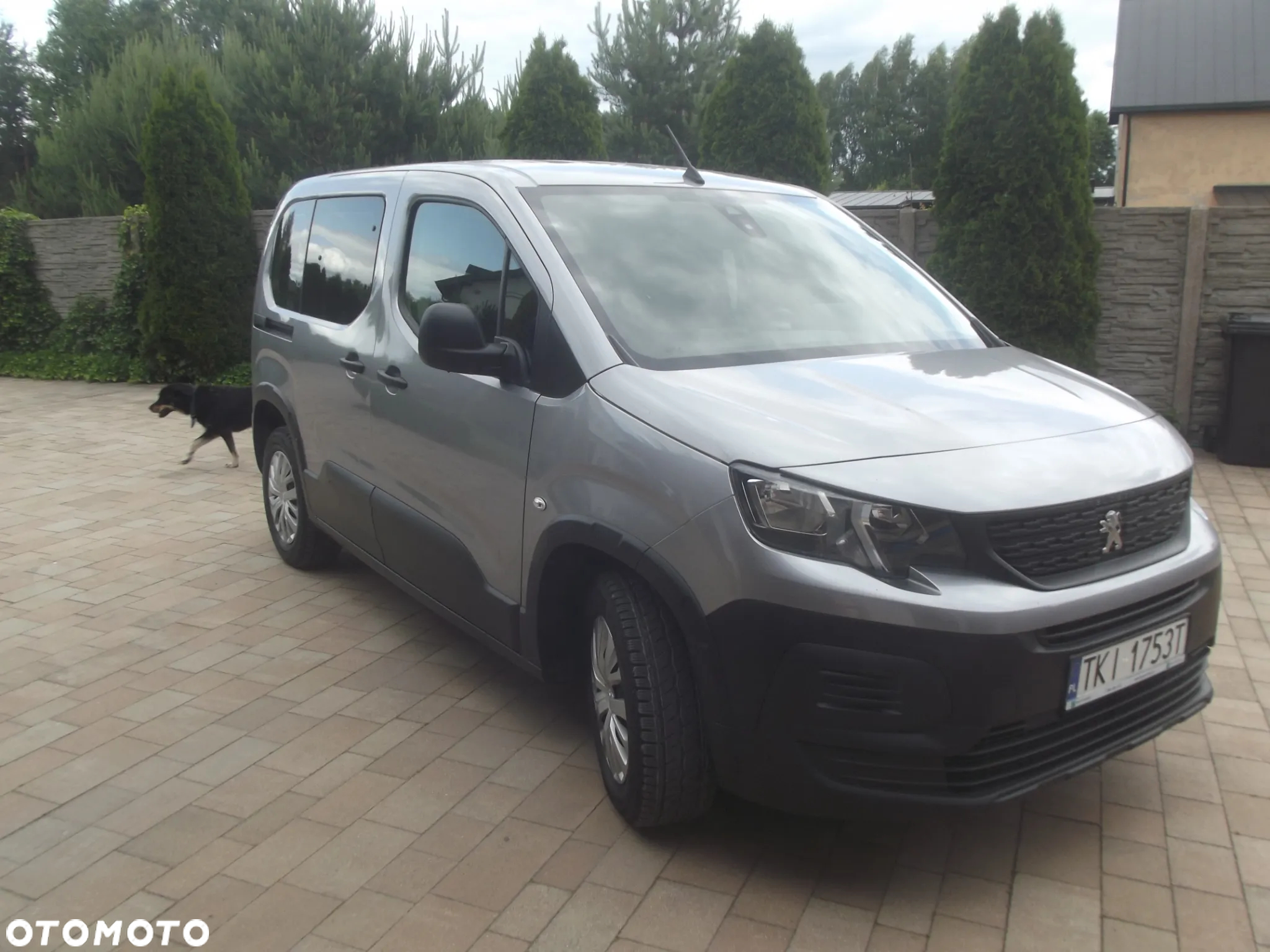 Peugeot Rifter Long 1.5 BlueHDI Active - 3