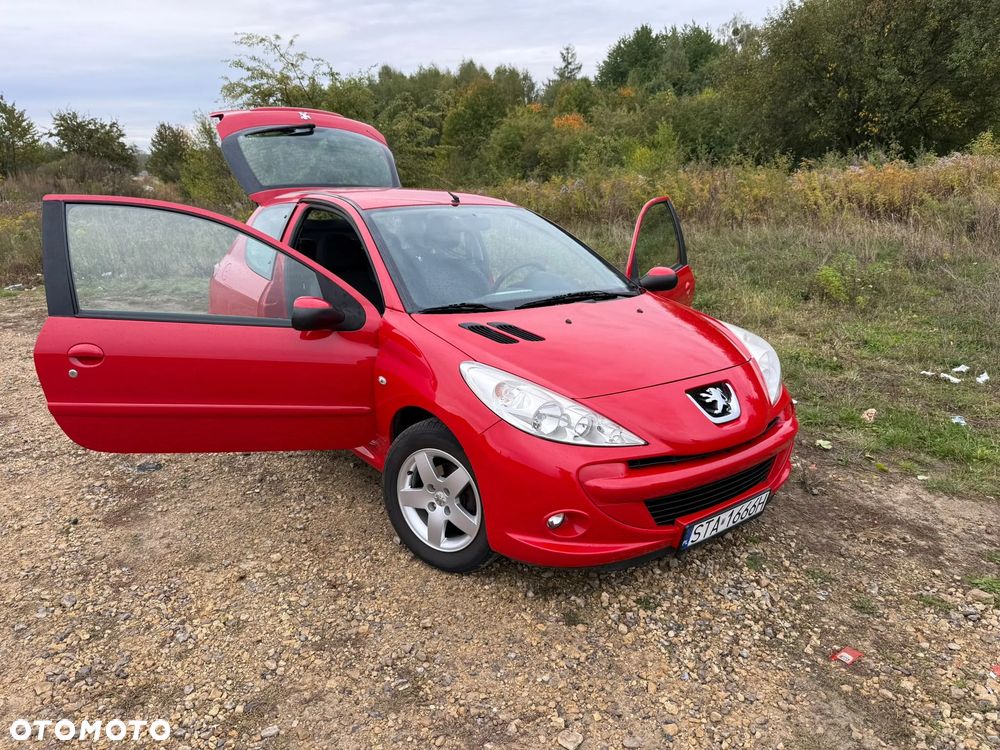 Peugeot 206 - 8
