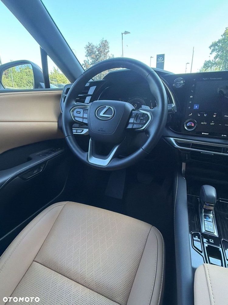 Lexus RX - 15
