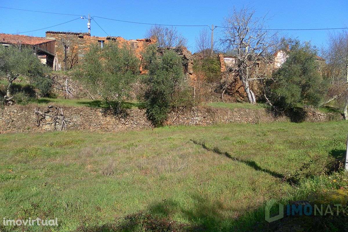 Imóvel Rural - Grande imagem: 3/37