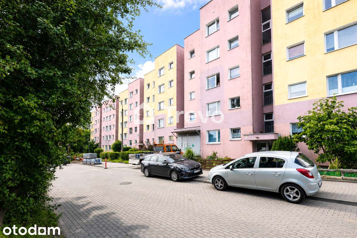 Morena | Widok na zieleń | Od zaraz | Spółdzielcze