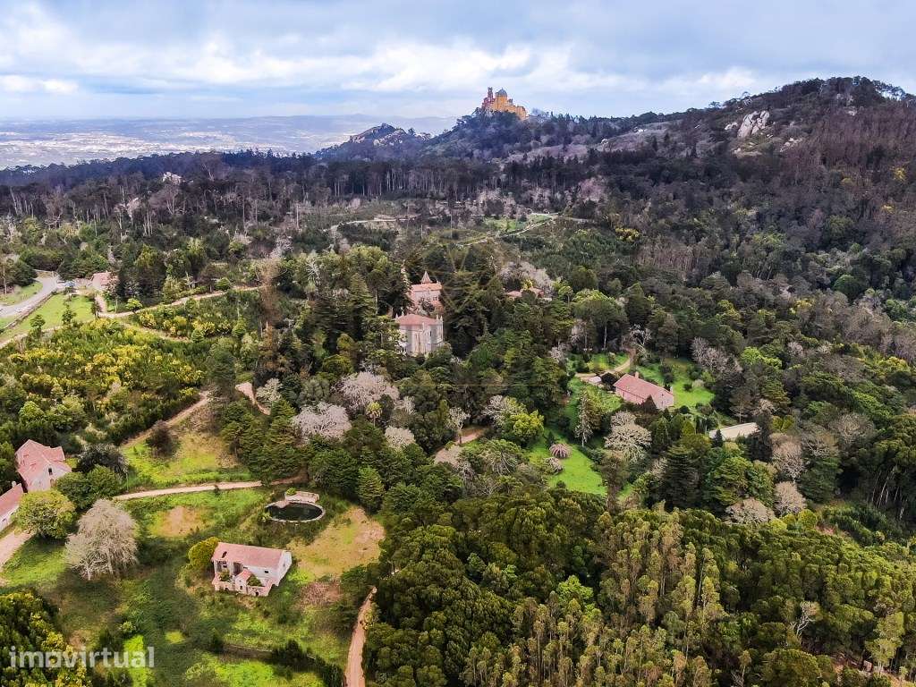Quinta em Sintra com Vista Panorâmica sobre Cascais - Grande imagem: 3/30