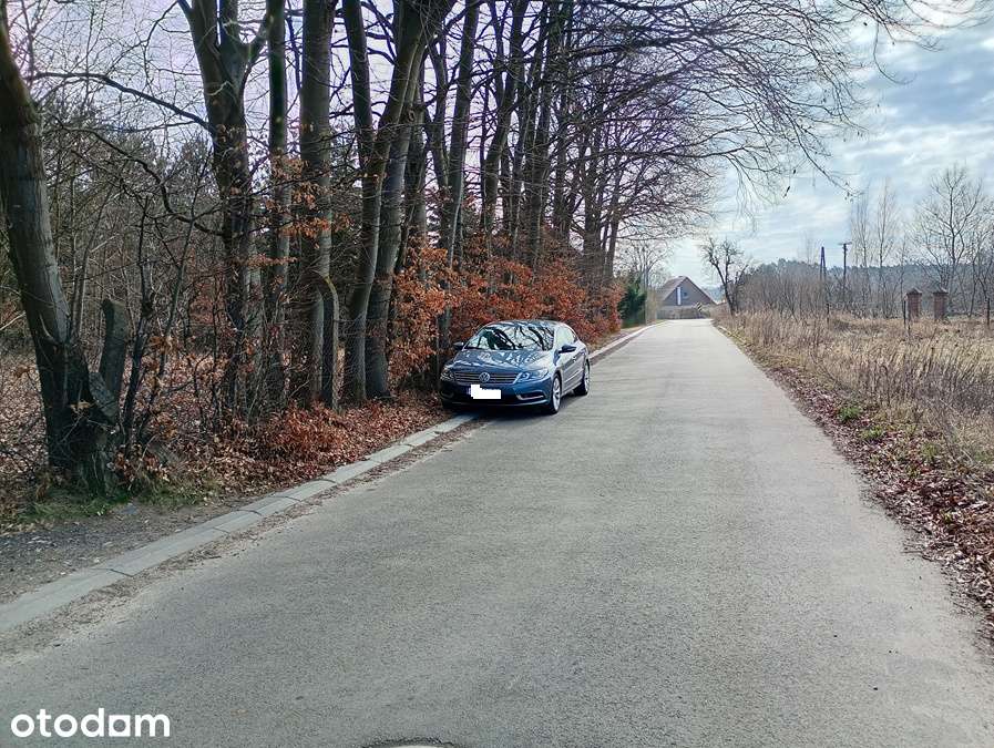 Chorzępowo działka rekreacyjna - Leśna Oaza - 2500 m2 działka marzeń! - Pełny obrazek: 5/20
