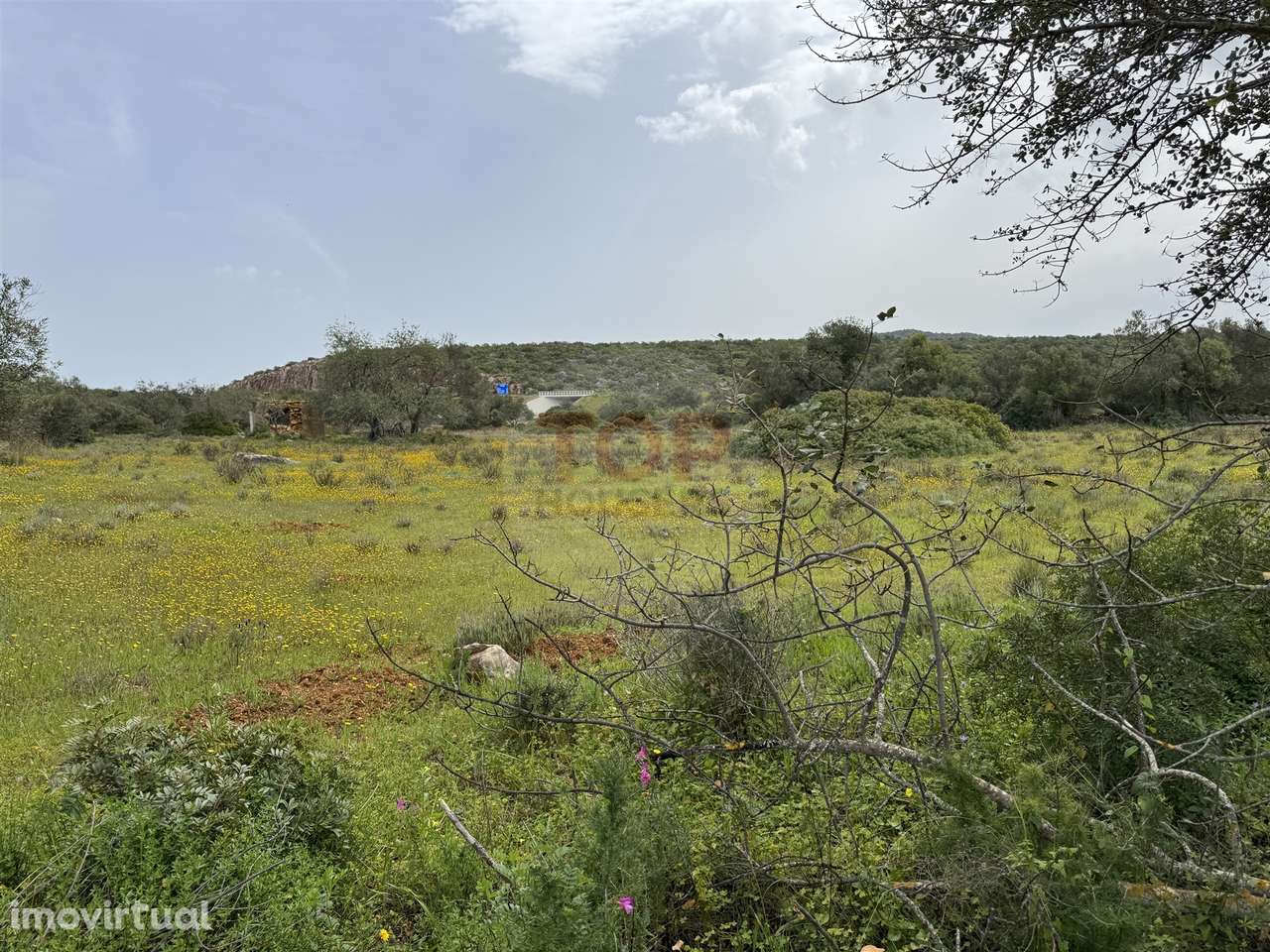 Terreno Misto em Moncarapacho - Grande imagem: 3/13