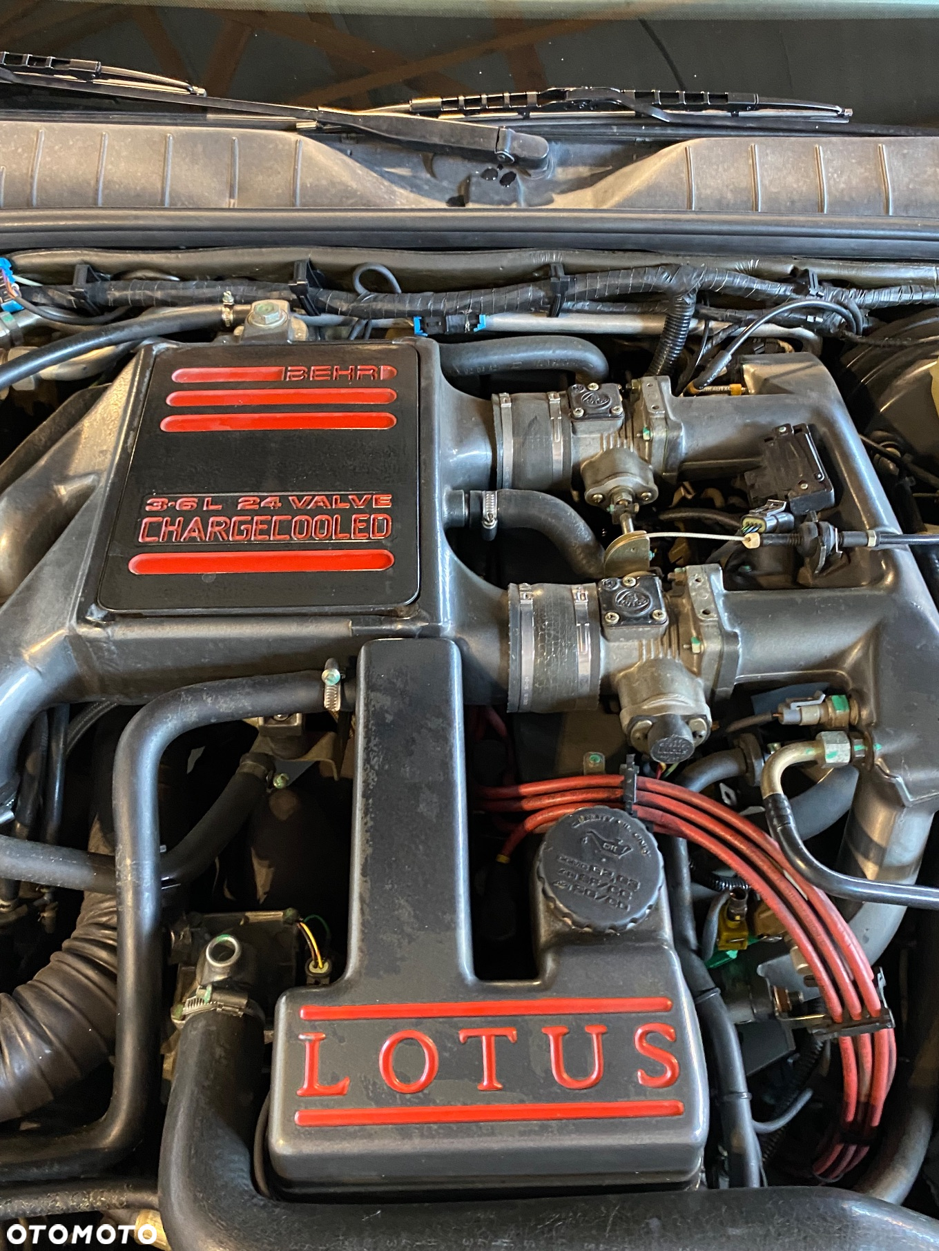 Lotus Inny - 27