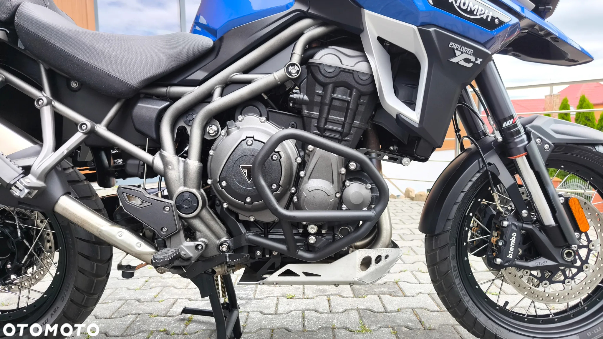 Triumph Tiger - 23