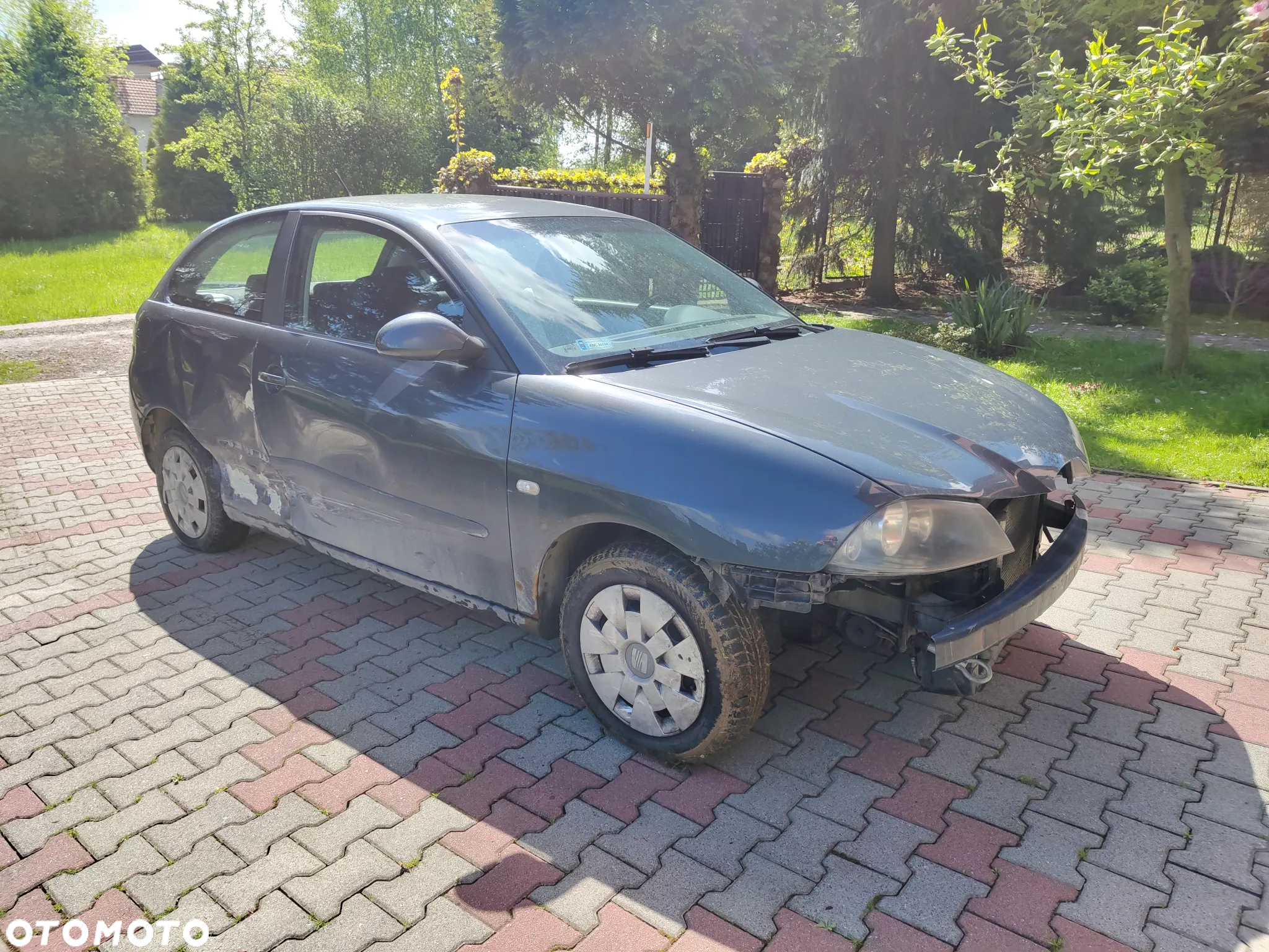 Seat Ibiza - 7