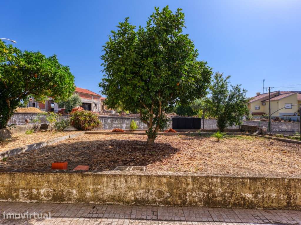 Moradia T4 com Quintal, Garagem e Terraço Panorâmico | Vila de Mação - Grande imagem: 5/51