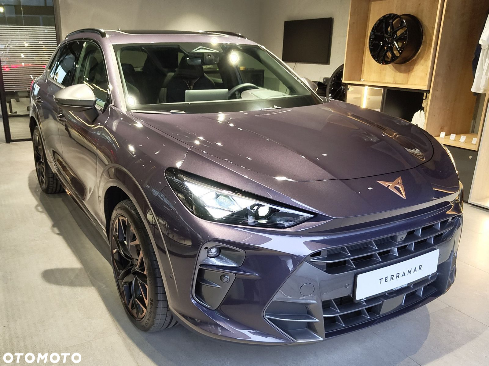 Cupra Terramar - 3
