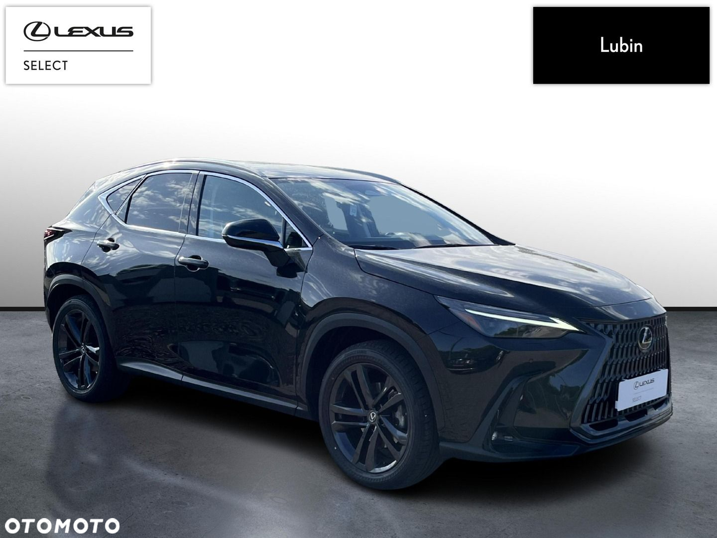 Lexus NX - 7