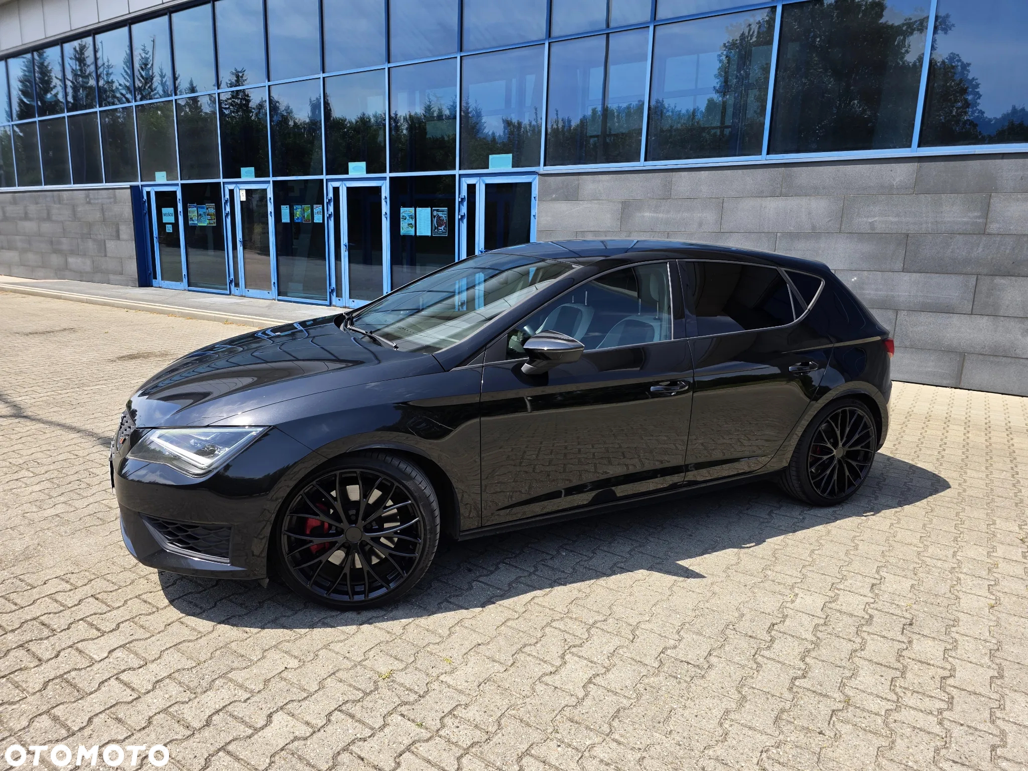 Seat Leon 2.0 TSI Start&Stop Cupra 265 - 3