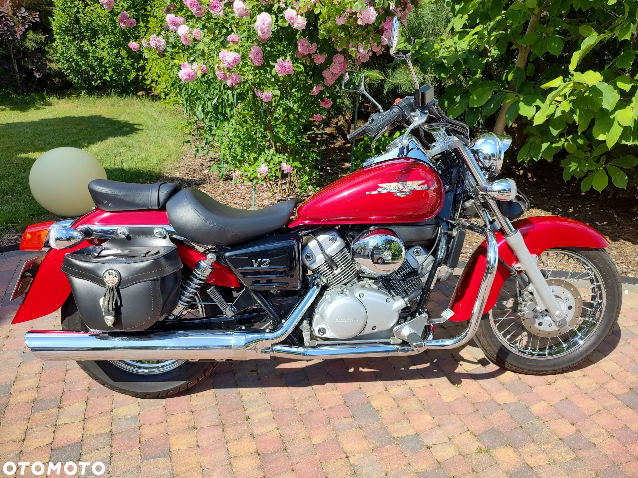 Honda Shadow - 1