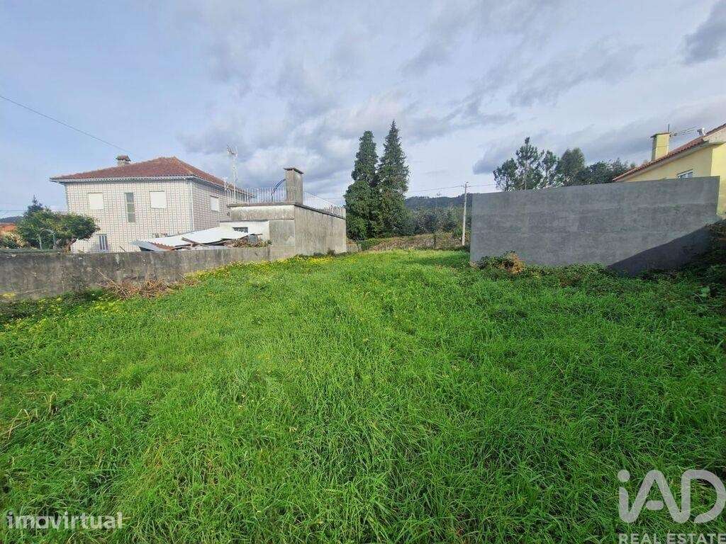 Terreno Agrícola em Santa Marta de Portuzelo - Grande imagem: 3/14