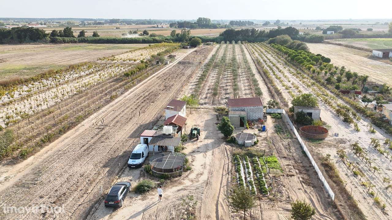 Terreno, 13 680 m², Almeirim - Grande imagem: 2/15