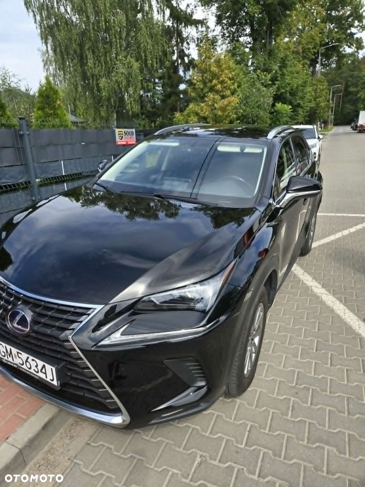 Lexus NX - 1