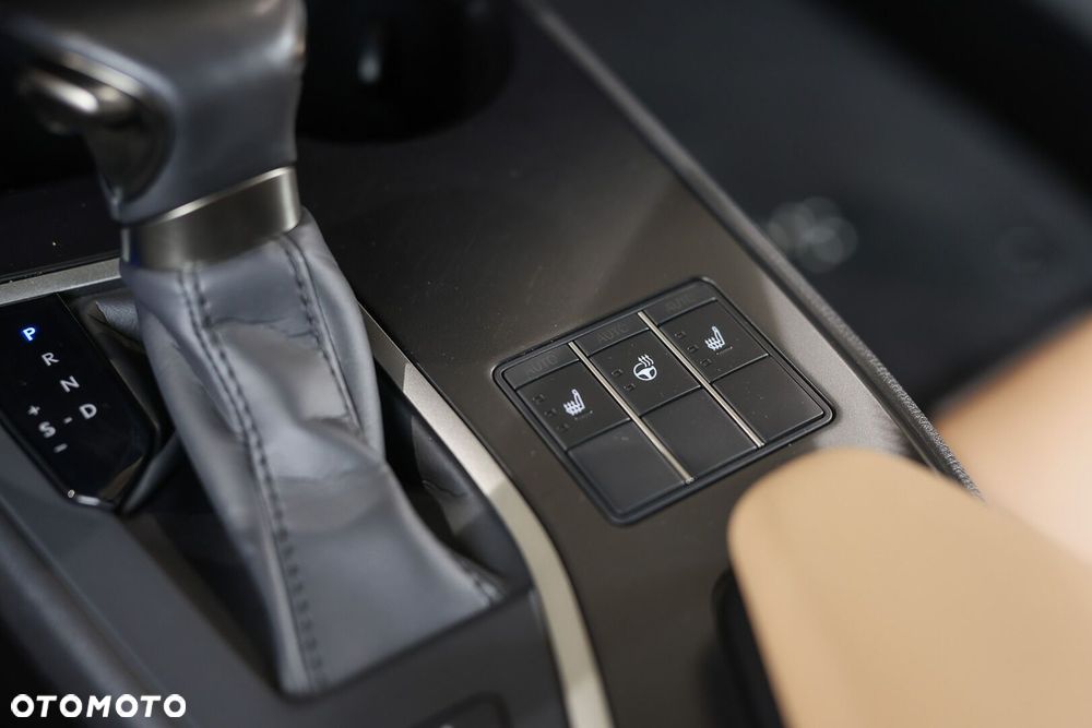 Lexus UX 250h GPF F Sport Design 2WD - 13