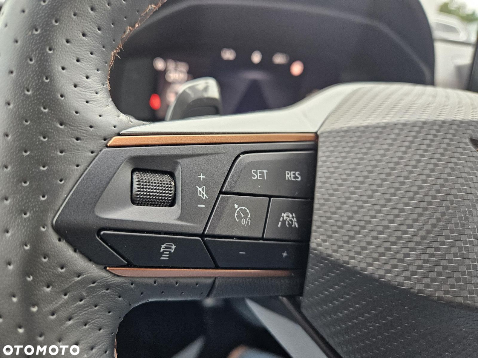 Cupra Formentor 2.0 TSI 4Drive DSG - 25