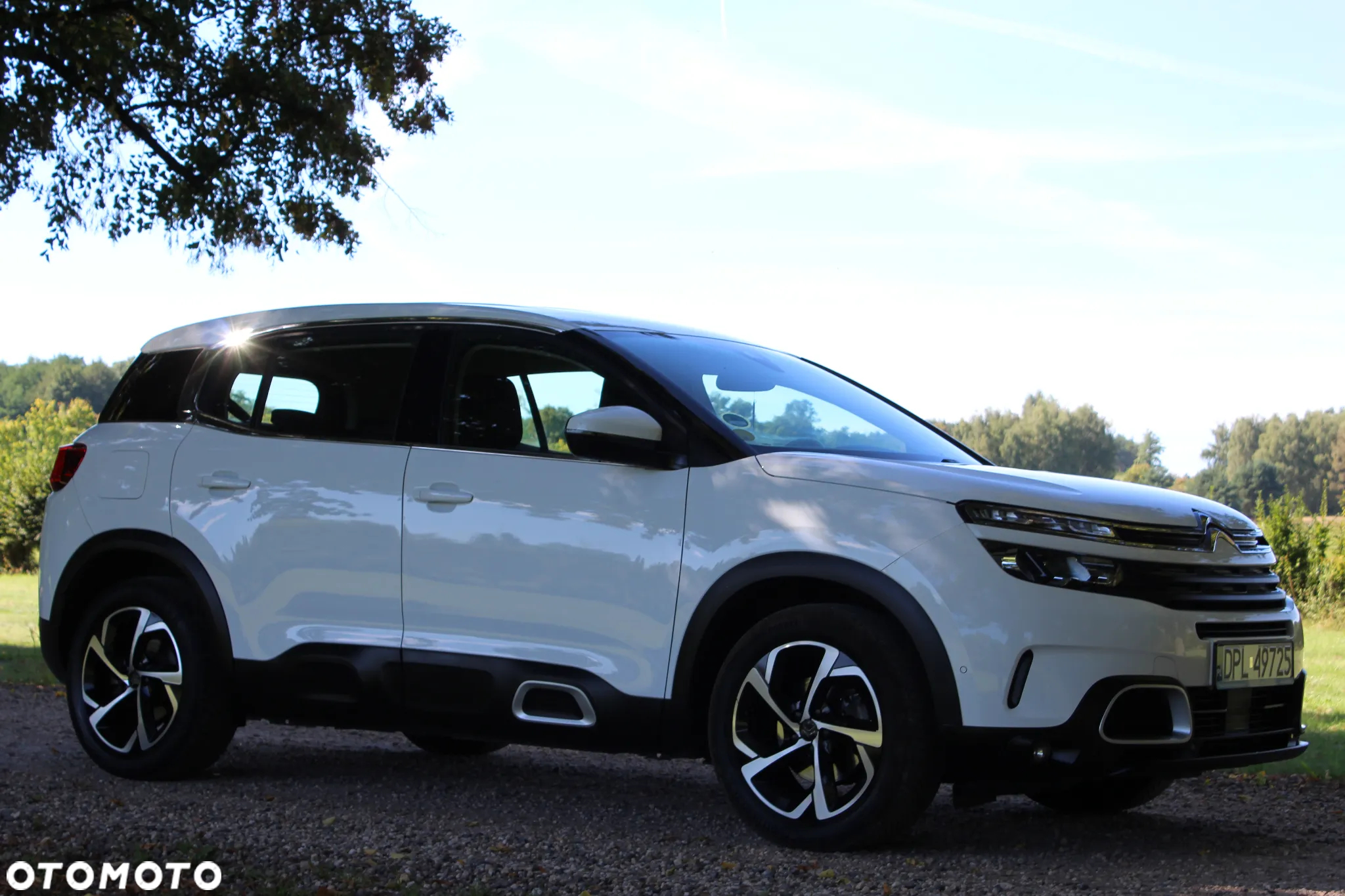 Citroën C5 Aircross 1.5 BlueHDi C-Series - 8