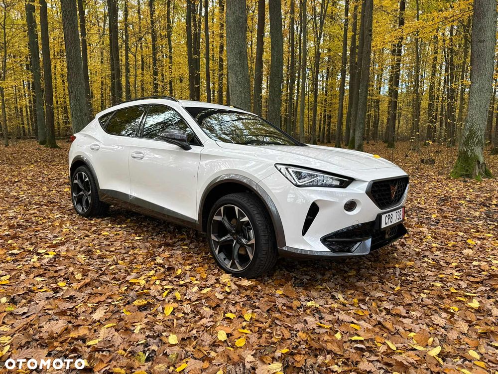 Cupra Formentor 1.5 TSI DSG - 2