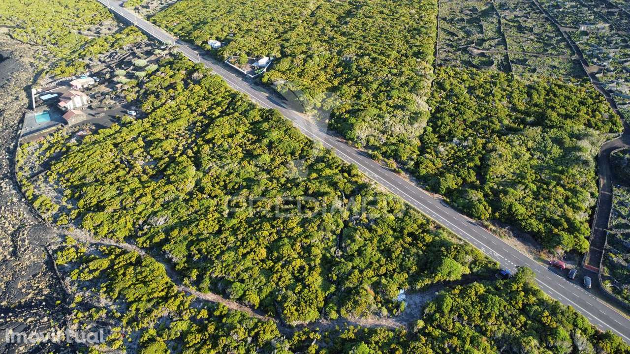 Terreno, para Venda, no Cachorro, Bandeiras - Grande imagem: 4/12