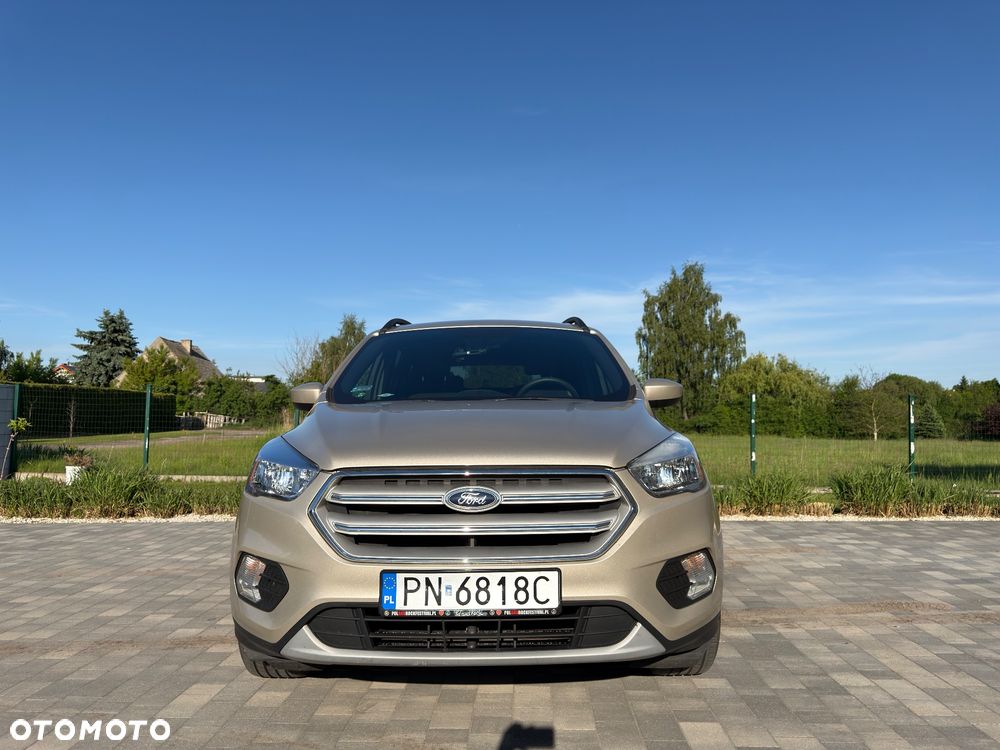 Ford Escape - 4
